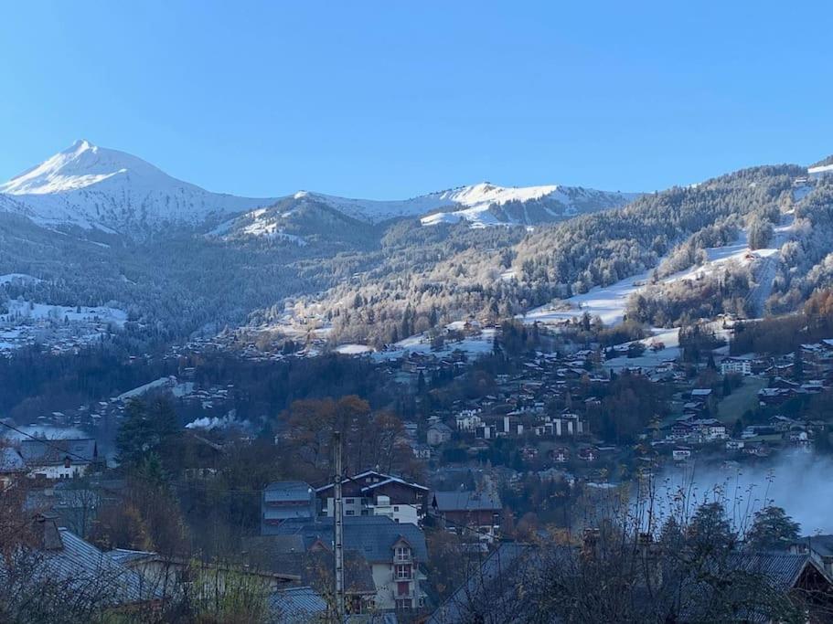 Chalet Le Jardin De Fees 생제르베레뱅 외부 사진